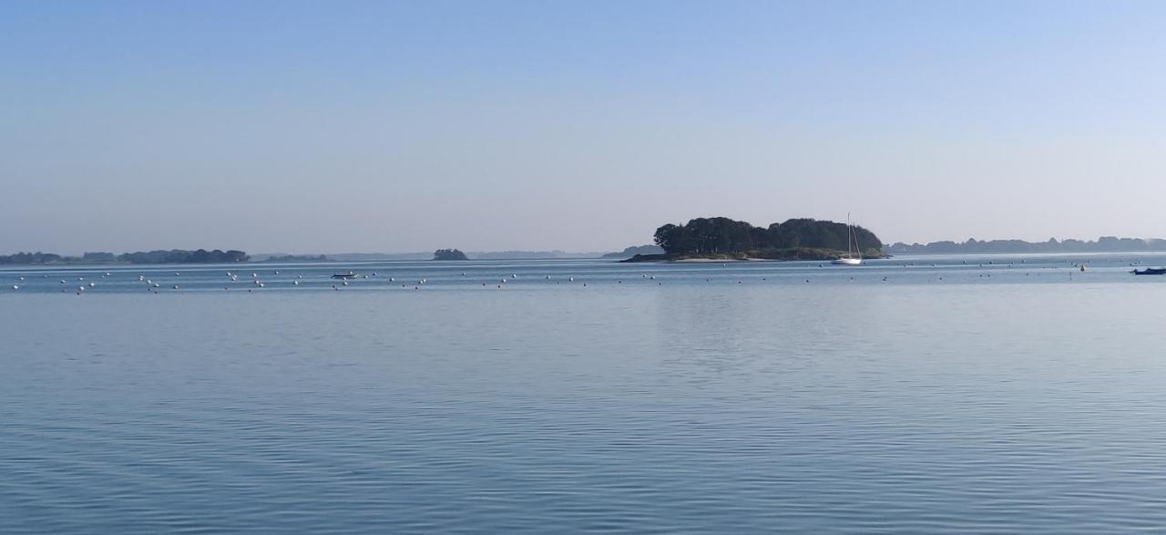 Manoir De Truhelin, A 2 Pas Du Golfe Du Morbihan أرادو المظهر الخارجي الصورة